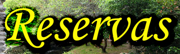Reservas on line